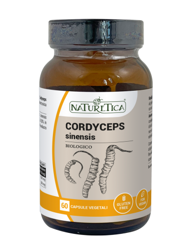 CORDYCEPS SINESIS (Tochukaso) NATURETICA